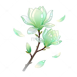 手绘风玉兰花枝插画设计素材