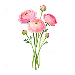 手绘风粉色花束植物插画设计素材