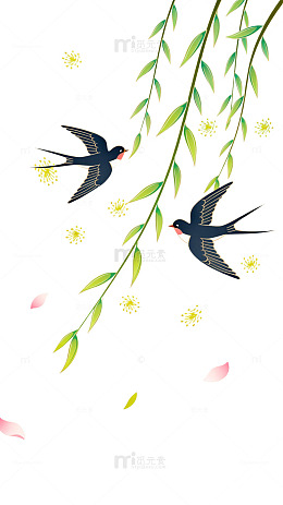 插画风春日燕子柳枝设计素材