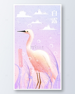 24节气白白鹭插画海报